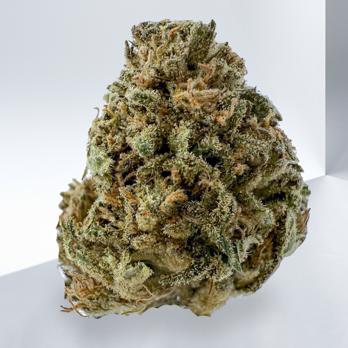 223-ALIEN-COOKIES.jpg