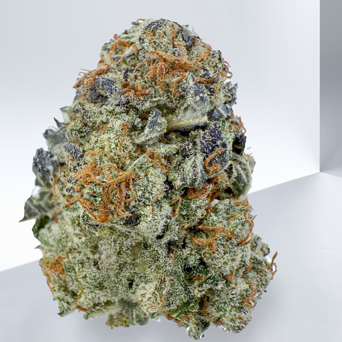 303-MODIFIED-GRAPES-SATIVA-.jpg