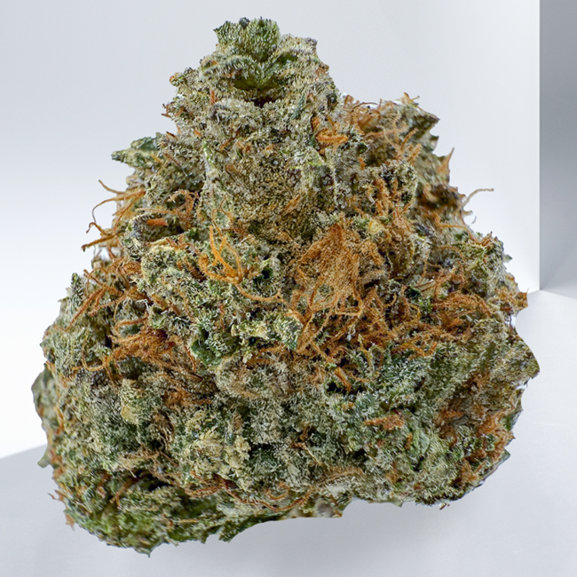 451-PINK-MKU.jpg
