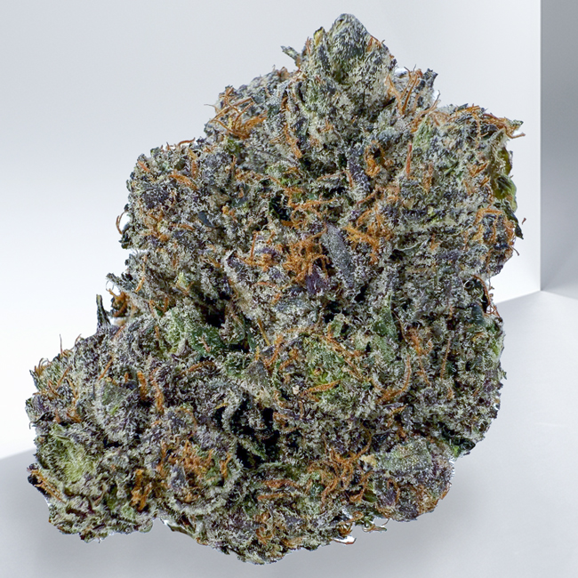 524-PINK-ROCKSTAR.jpg